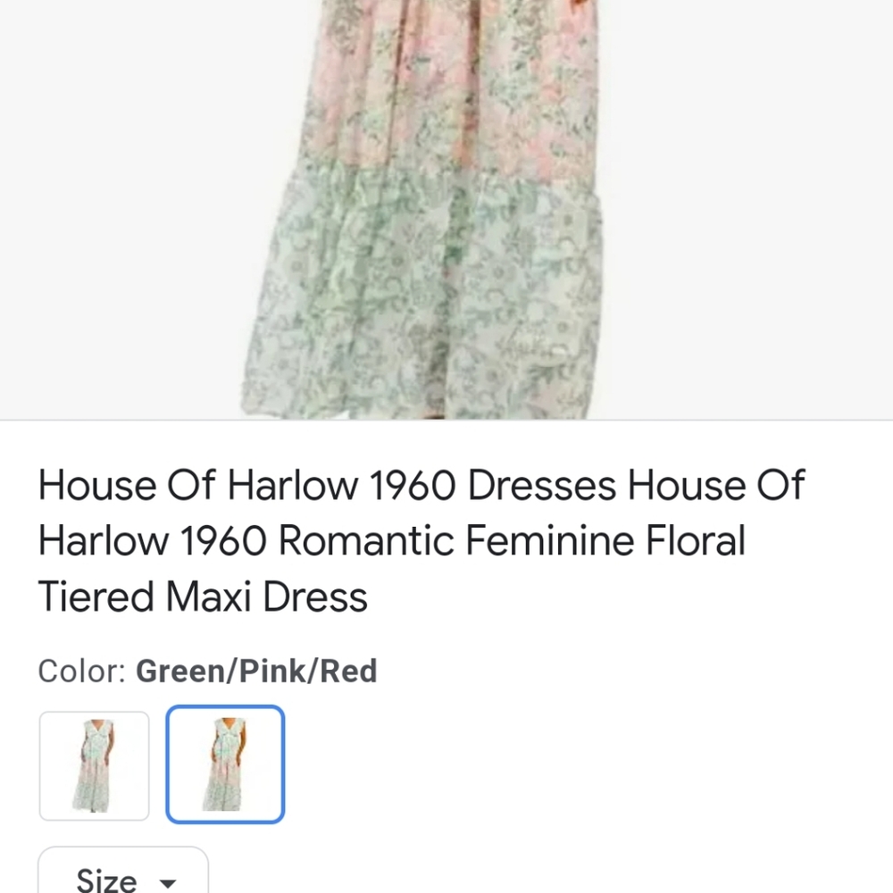 House of Harlow Romantic and Feminine and Gorgeous Pastel Floral Maxi Dress - Picture 5 of 12